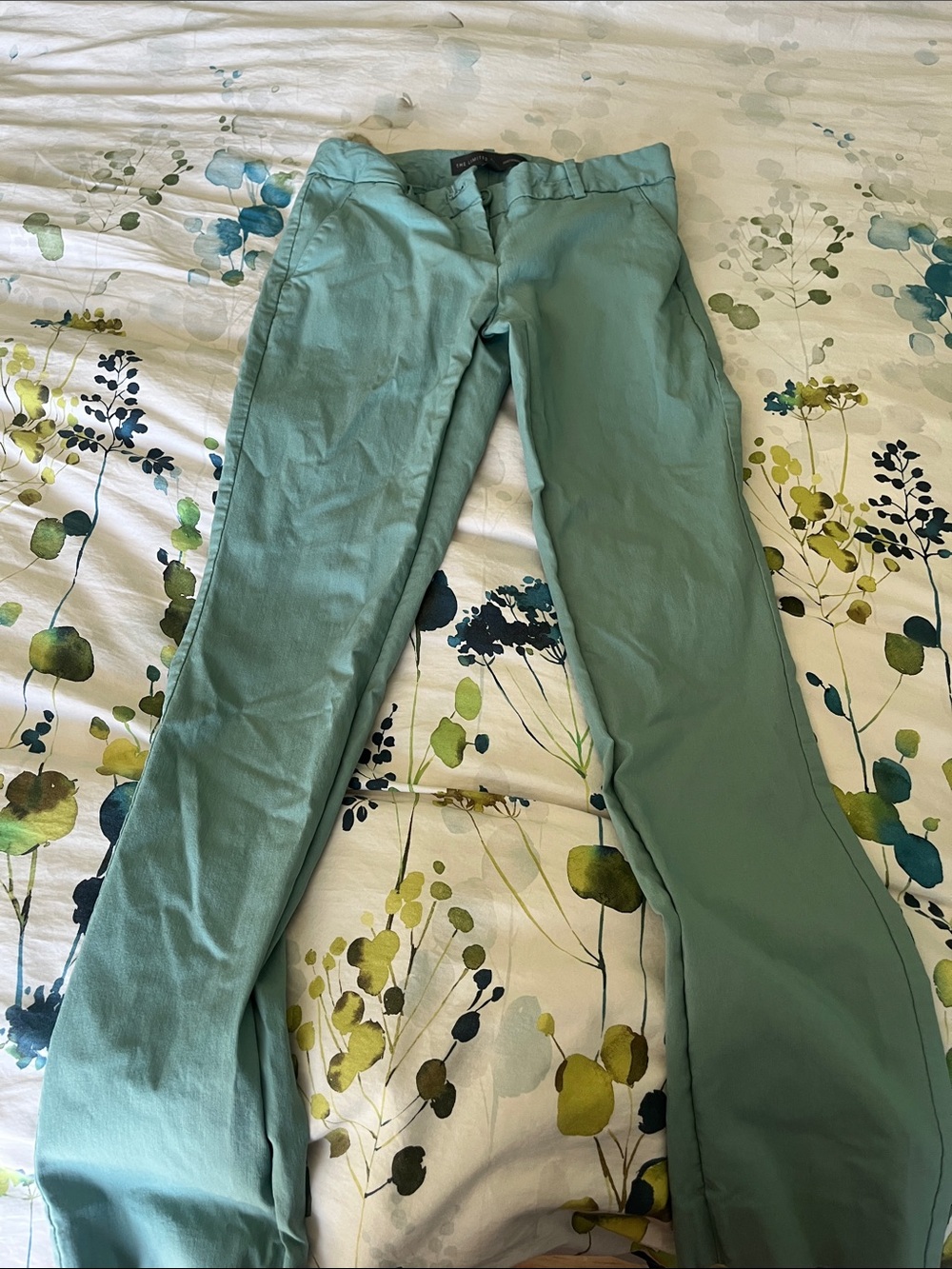 The Limited Mint Green Straight-Leg Jeans